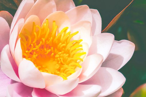 auto-coaching
